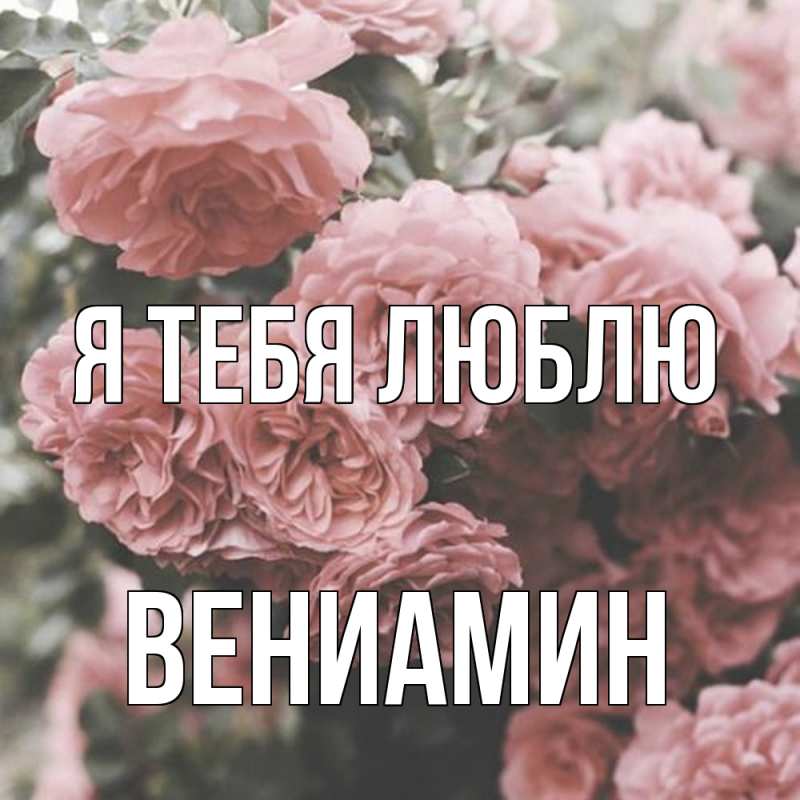 Картинка Я тебя люблю, Вениамин