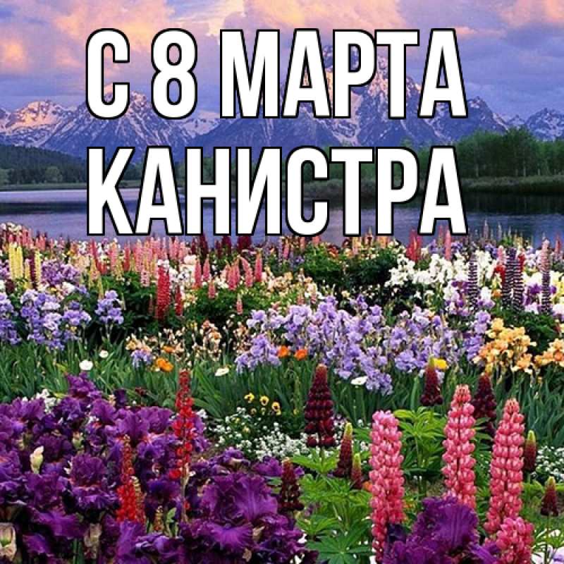 Картинка C 8 МАРТА, Канистра