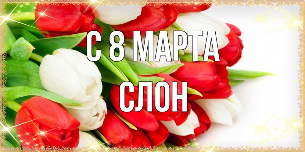 Открытка на каждый день с именем, Слон C 8 МАРТА Поздравительные открытки для милых женщин Прикольная открытка с пожеланием онлайн скачать бесплатно 