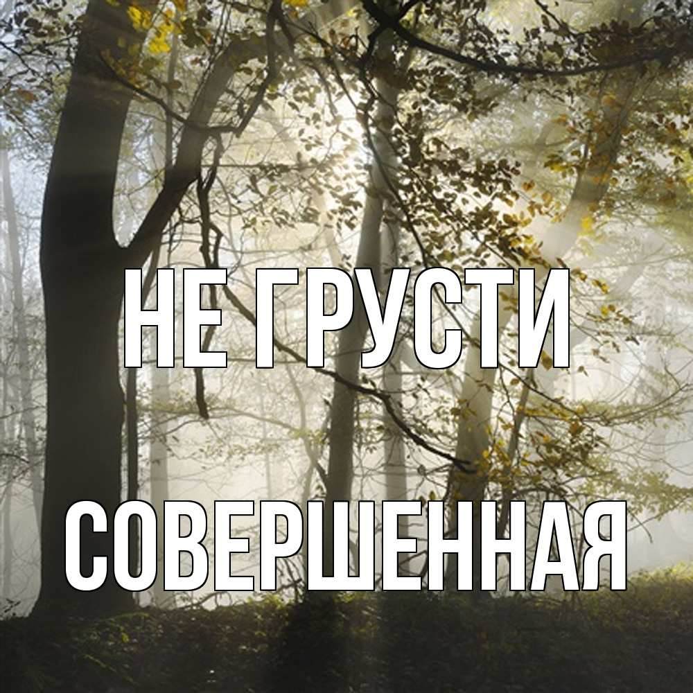 Открытка на каждый день с именем, Совершенная Не грусти лес и свет Прикольная открытка с пожеланием онлайн скачать бесплатно 
