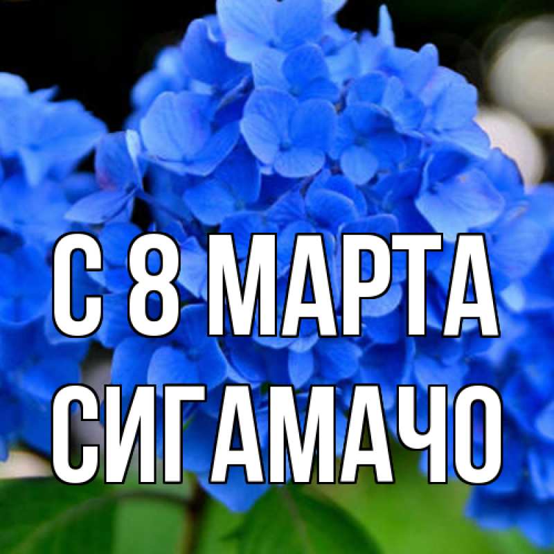 Картинка C 8 МАРТА, Сигамачо