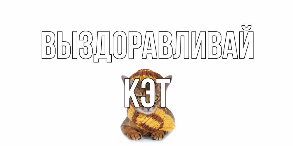 Открытка на каждый день с именем, Кэт Выздоравливай родные не болейте Прикольная открытка с пожеланием онлайн скачать бесплатно 