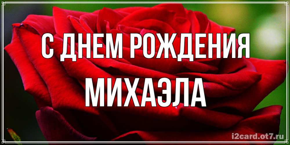 Открытка на каждый день с именем, Михаэла С днем рождения розочка очень красивая Прикольная открытка с пожеланием онлайн скачать бесплатно 