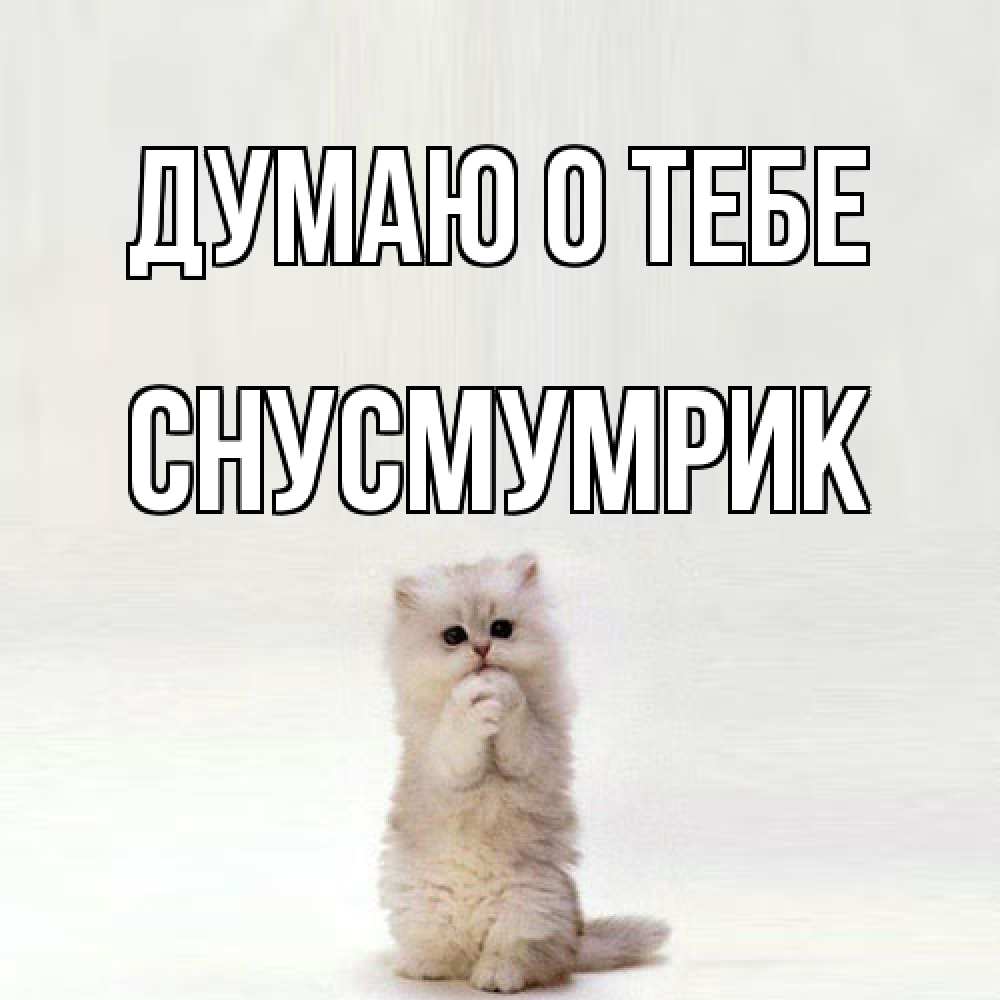 Открытка на каждый день с именем, Снусмумрик Думаю о тебе кот стоит на задних лапах Прикольная открытка с пожеланием онлайн скачать бесплатно 