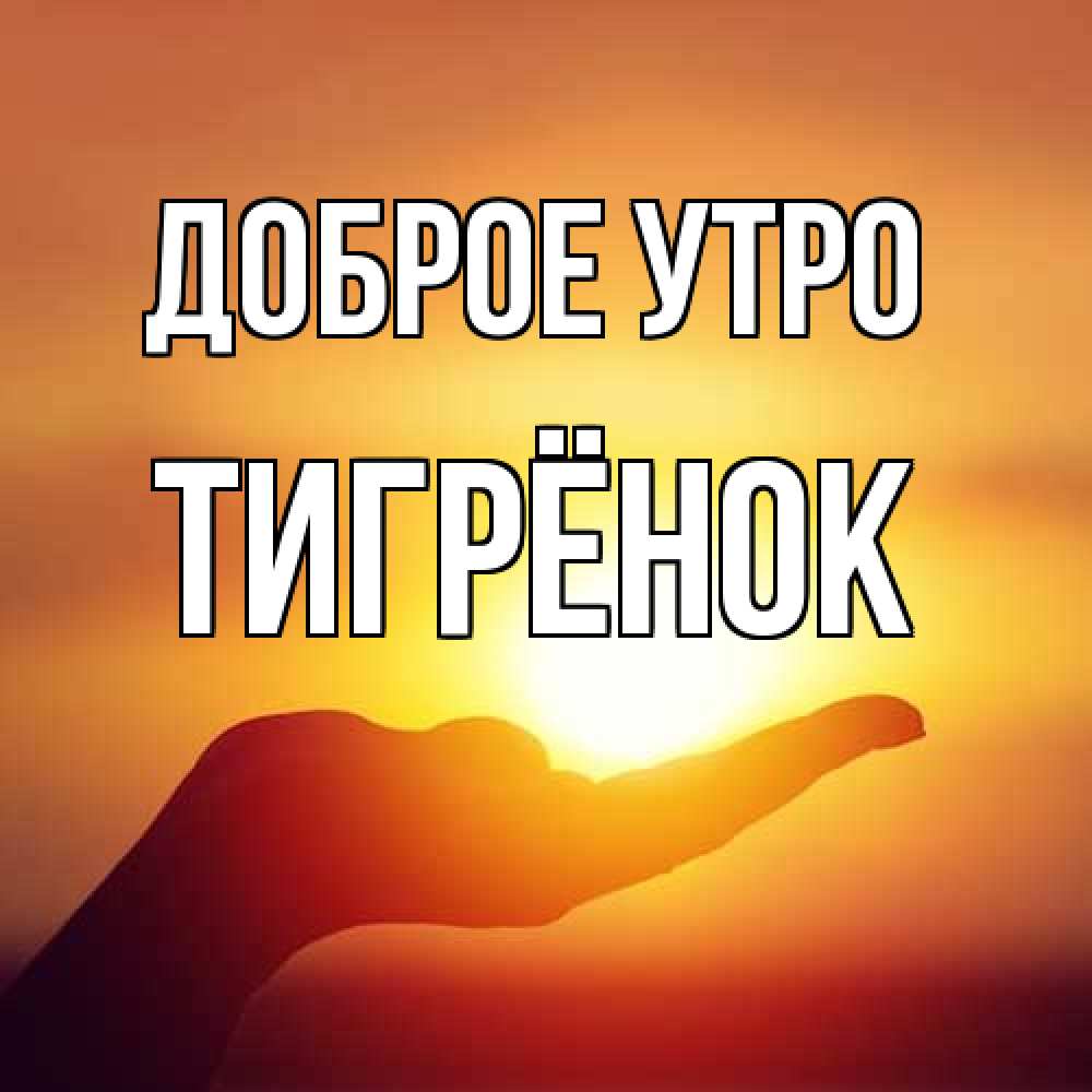 Открытка на каждый день с именем, Тигрёнок Доброе утро ладошка и закат Прикольная открытка с пожеланием онлайн скачать бесплатно 