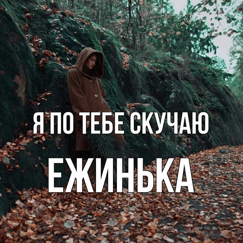 Картинка Я по тебе скучаю, ежинька
