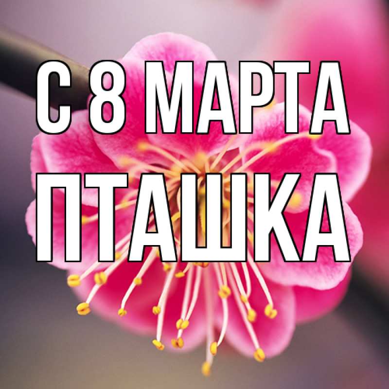 Картинка C 8 МАРТА, пташка