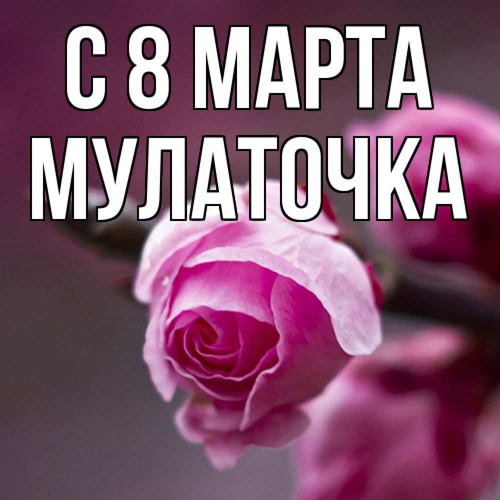 Открытка на каждый день с именем, Мулаточка C 8 МАРТА весна Прикольная открытка с пожеланием онлайн скачать бесплатно 