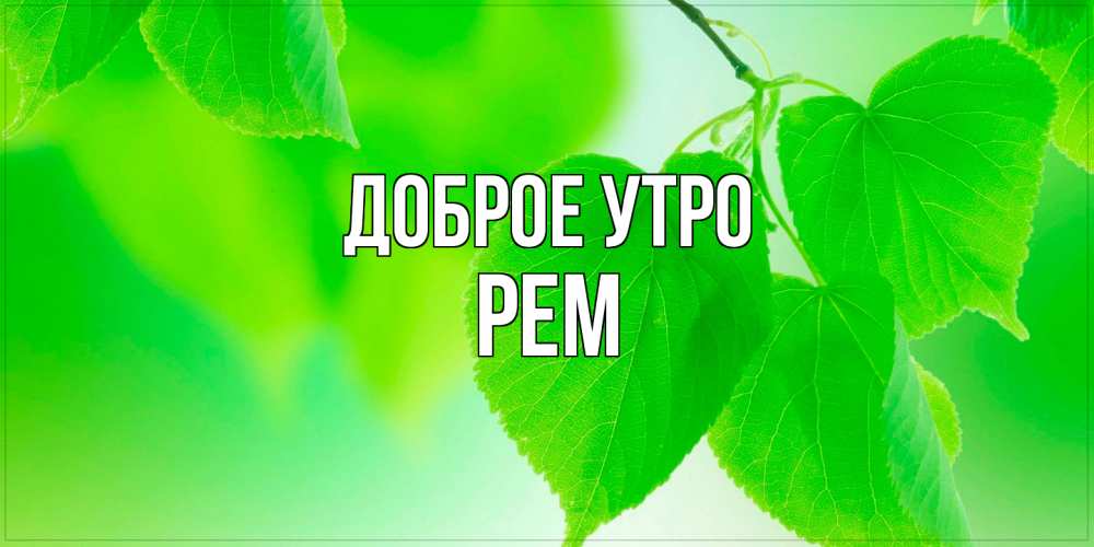 Открытка на каждый день с именем, Рем Доброе утро доброе утро с березовыми листьями Прикольная открытка с пожеланием онлайн скачать бесплатно 
