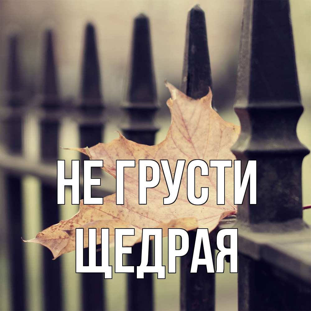 Открытка на каждый день с именем, Щедpая Не грусти лист клена Прикольная открытка с пожеланием онлайн скачать бесплатно 