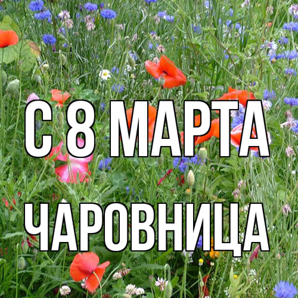 Открытка на каждый день с именем, чаровница C 8 МАРТА международный женский день 4 Прикольная открытка с пожеланием онлайн скачать бесплатно 