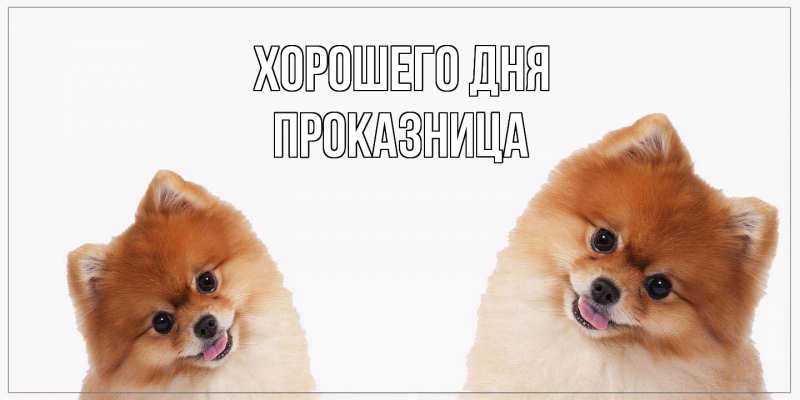 Картинка Хорошего дня, Пpоказница