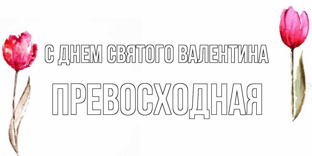 Открытка на каждый день с именем, Превосходная С днем Святого Валентина Открытки на день всех влюбленных с тюльпанами акварелью Прикольная открытка с пожеланием онлайн скачать бесплатно 