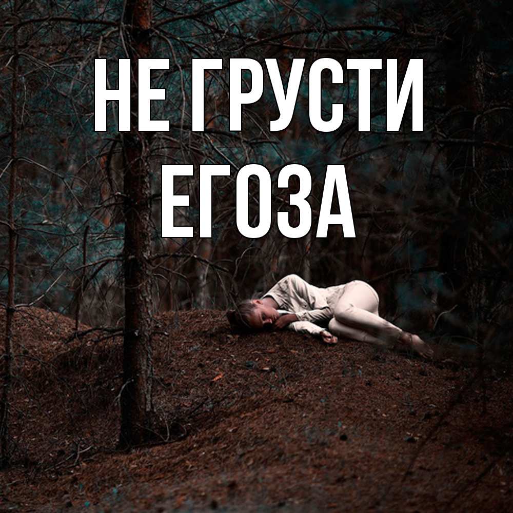 Открытка на каждый день с именем, егоза Не грусти лес Прикольная открытка с пожеланием онлайн скачать бесплатно 