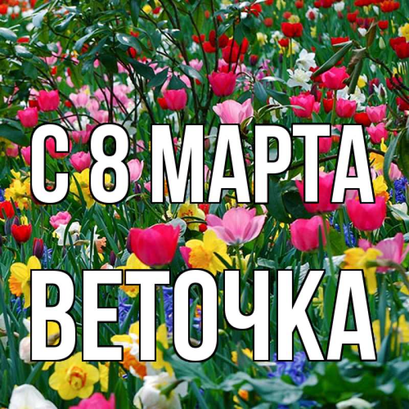 Картинка C 8 МАРТА, Веточка