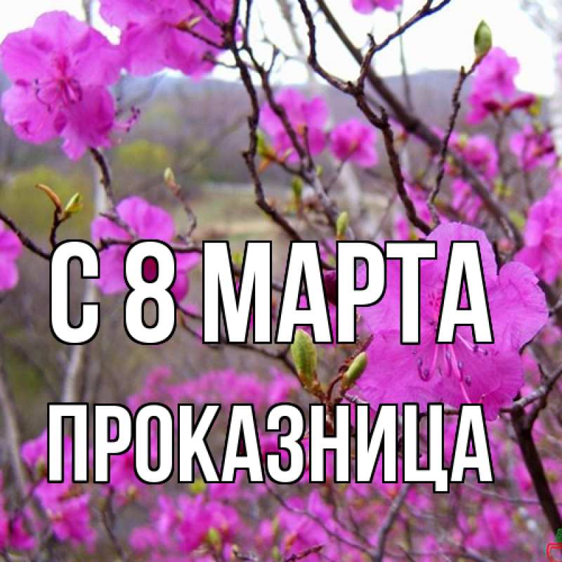 Картинка C 8 МАРТА, Пpоказница