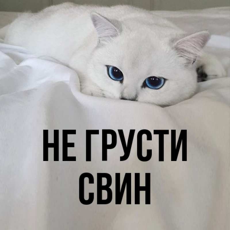 Открытка с именем, Свин, Не грусти