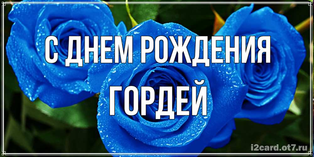 Открытка на каждый день с именем, Гордей С днем рождения розы с синим цветом Прикольная открытка с пожеланием онлайн скачать бесплатно 