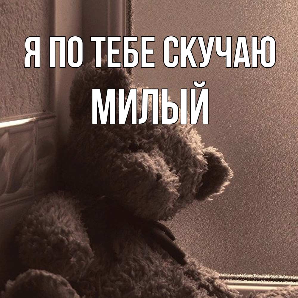 Открытка на каждый день с именем, Милый Я по тебе скучаю скучаем тут Прикольная открытка с пожеланием онлайн скачать бесплатно 