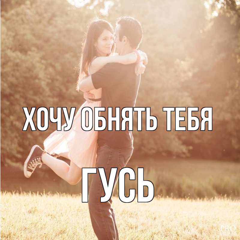 Картинка Хочу обнять тебя, Гусь