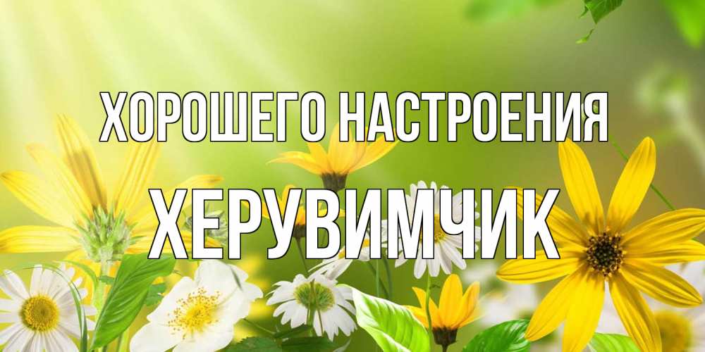 Открытка на каждый день с именем, Хеpувимчик Хорошего настроения цветы Прикольная открытка с пожеланием онлайн скачать бесплатно 