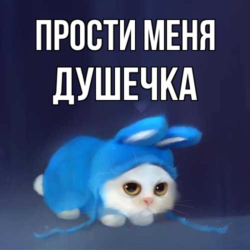 Картинка Прости меня, душечка
