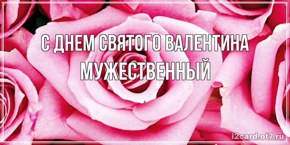 Открытка на каждый день с именем, Мужественный С днем Святого Валентина роза розовая на день Святого Валентина Прикольная открытка с пожеланием онлайн скачать бесплатно 