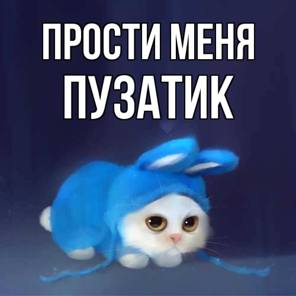 Открытка на каждый день с именем, Пузатик Прости меня невинный котозай просит прощения Прикольная открытка с пожеланием онлайн скачать бесплатно 