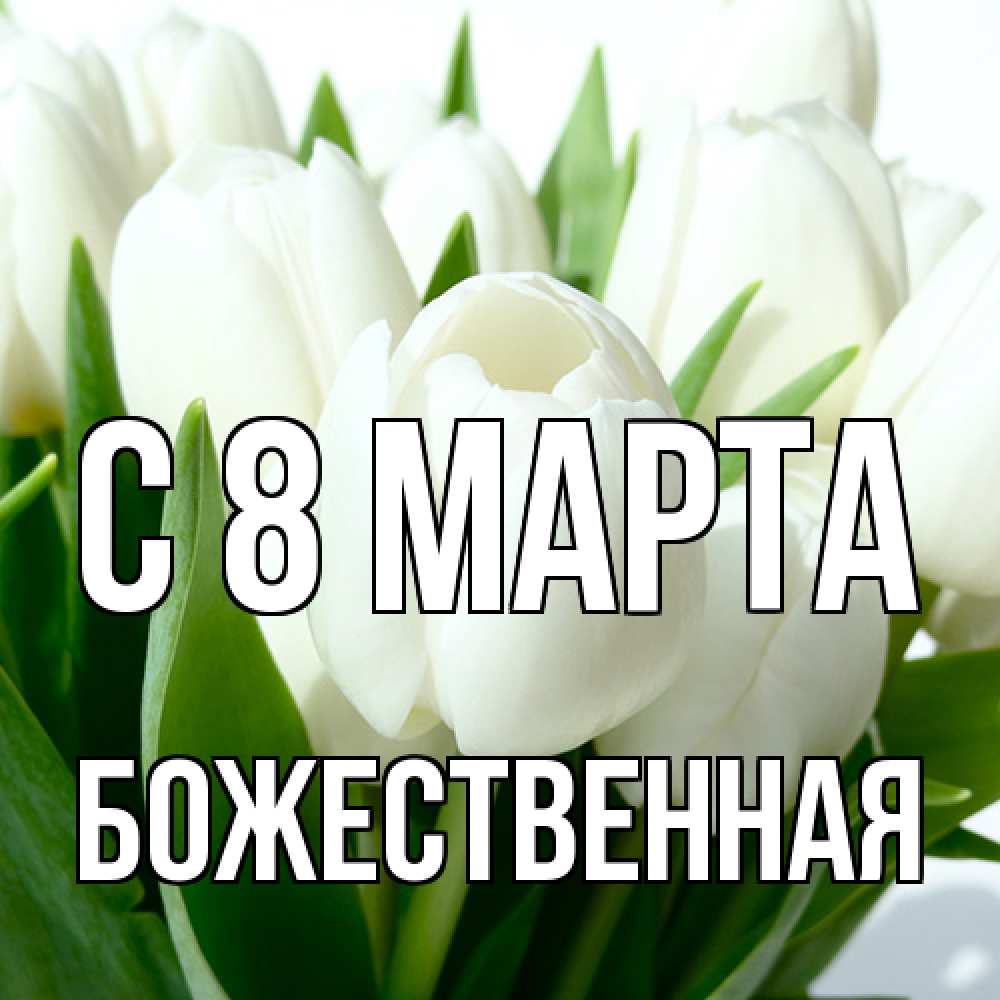 Открытка на каждый день с именем, божественная C 8 МАРТА цветы Прикольная открытка с пожеланием онлайн скачать бесплатно 