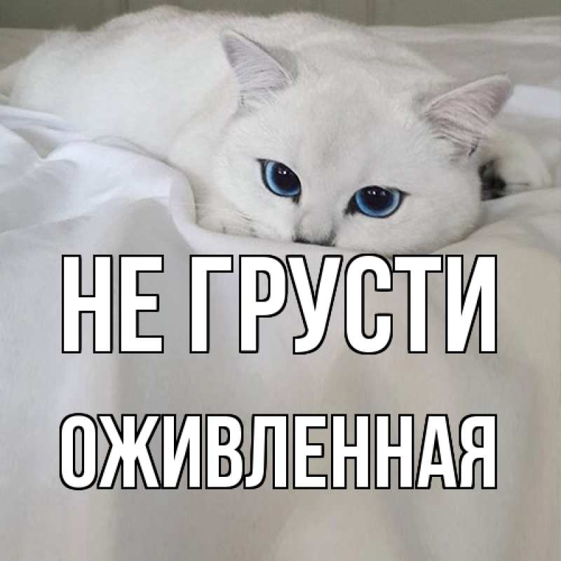 Картинка Не грусти, Оживленная