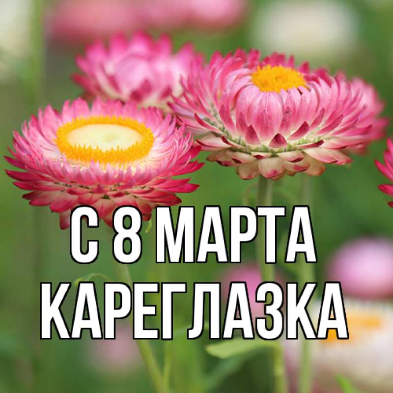 Картинка C 8 МАРТА, кареглазка