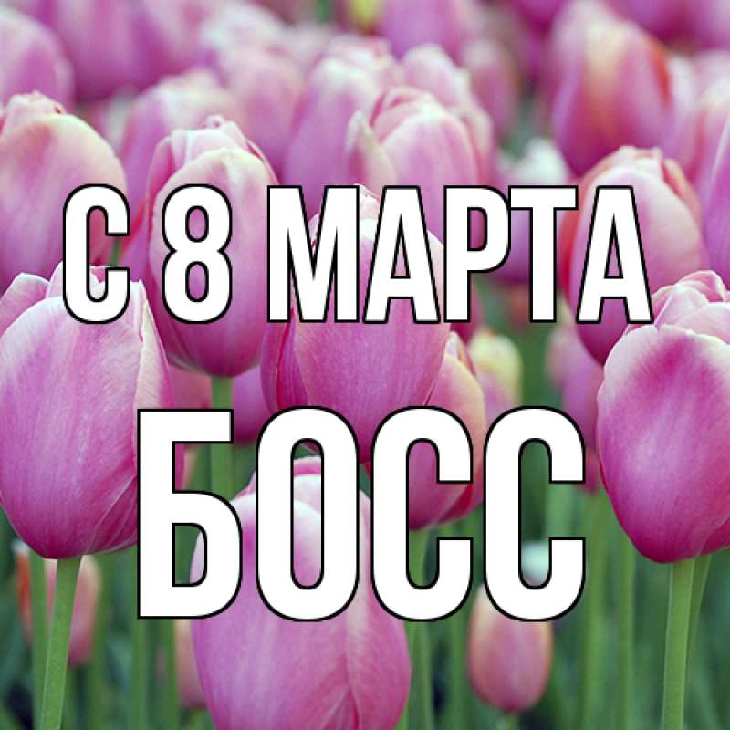 Картинка C 8 МАРТА, Босс