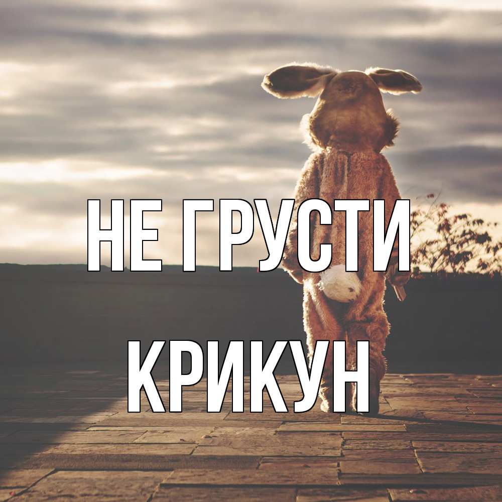 Открытка на каждый день с именем, Крикун Не грусти со спины Прикольная открытка с пожеланием онлайн скачать бесплатно 