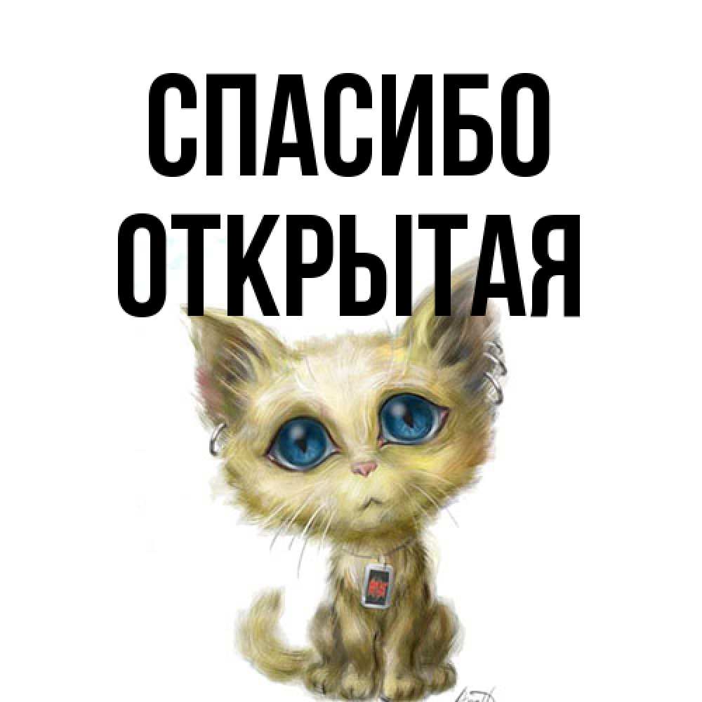 Открытка на каждый день с именем, открытая Спасибо рисованный кот благодарит вас Прикольная открытка с пожеланием онлайн скачать бесплатно 