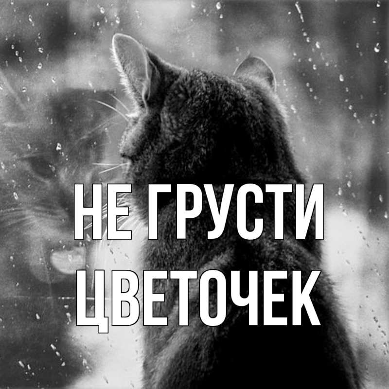 Картинка Не грусти, Цветочек