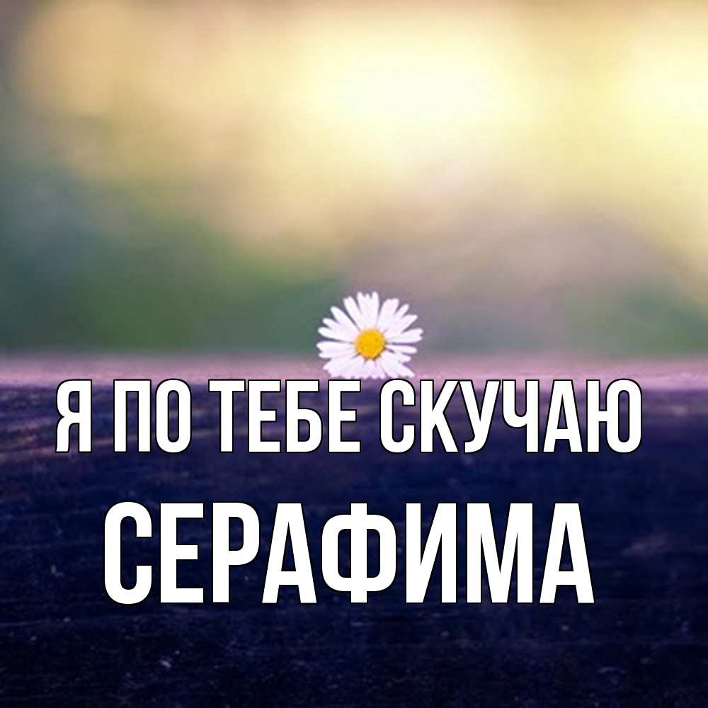 Открытка на каждый день с именем, Серафима Я по тебе скучаю приходи в гости Прикольная открытка с пожеланием онлайн скачать бесплатно 