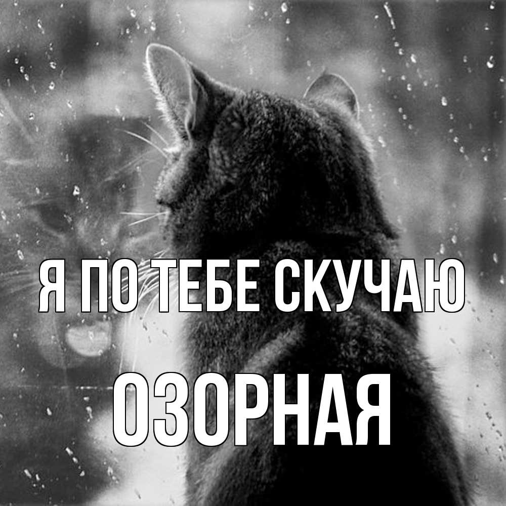 Открытка на каждый день с именем, Озоpная Я по тебе скучаю скорее ко мне приходи 1 Прикольная открытка с пожеланием онлайн скачать бесплатно 