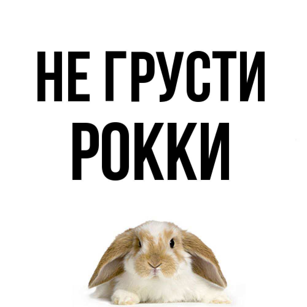 Открытка на каждый день с именем, Рокки Не грусти коричнево белый заяц с большими ушками Прикольная открытка с пожеланием онлайн скачать бесплатно 