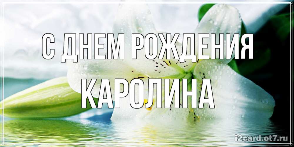 Открытка на каждый день с именем, Каролина С днем рождения лилия на открытке ко дню рождения Прикольная открытка с пожеланием онлайн скачать бесплатно 