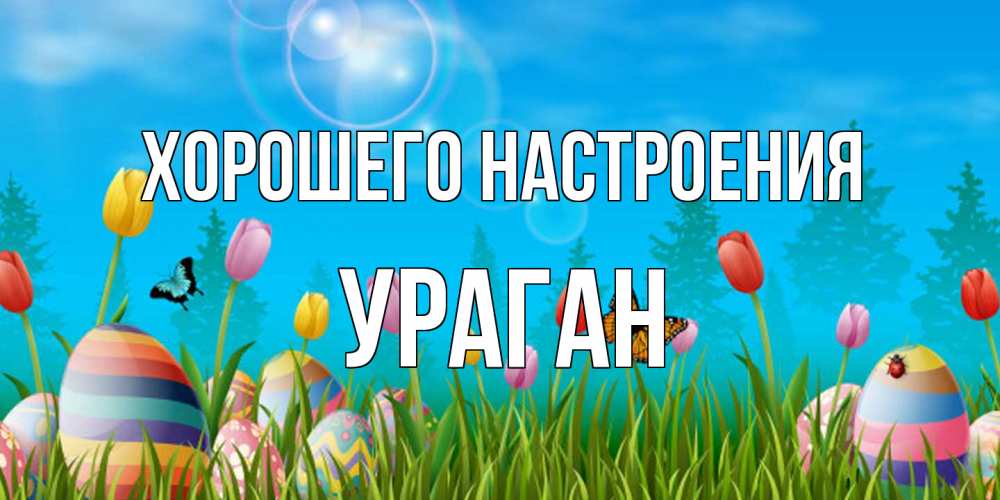 Открытка на каждый день с именем, Ураган Хорошего настроения небо и тюльпаны с бабочкой Прикольная открытка с пожеланием онлайн скачать бесплатно 