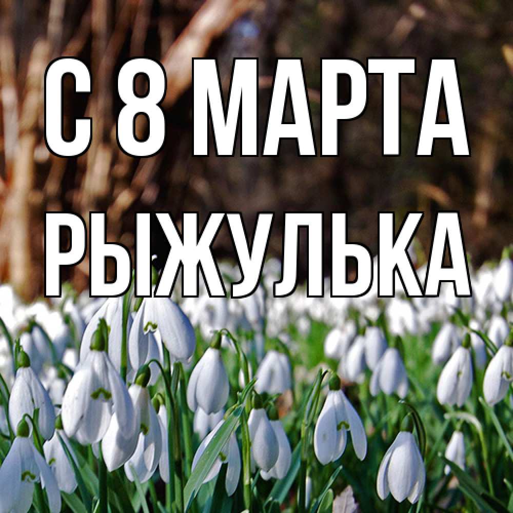 Открытка на каждый день с именем, рыжулька C 8 МАРТА с подснежниками 1 Прикольная открытка с пожеланием онлайн скачать бесплатно 