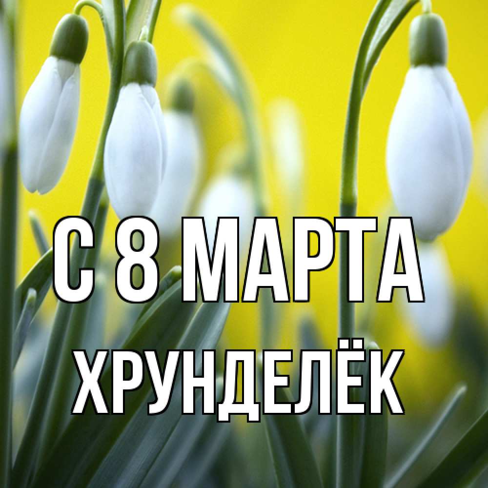 Открытка на каждый день с именем, Хрунделёк C 8 МАРТА весенние цветы Прикольная открытка с пожеланием онлайн скачать бесплатно 