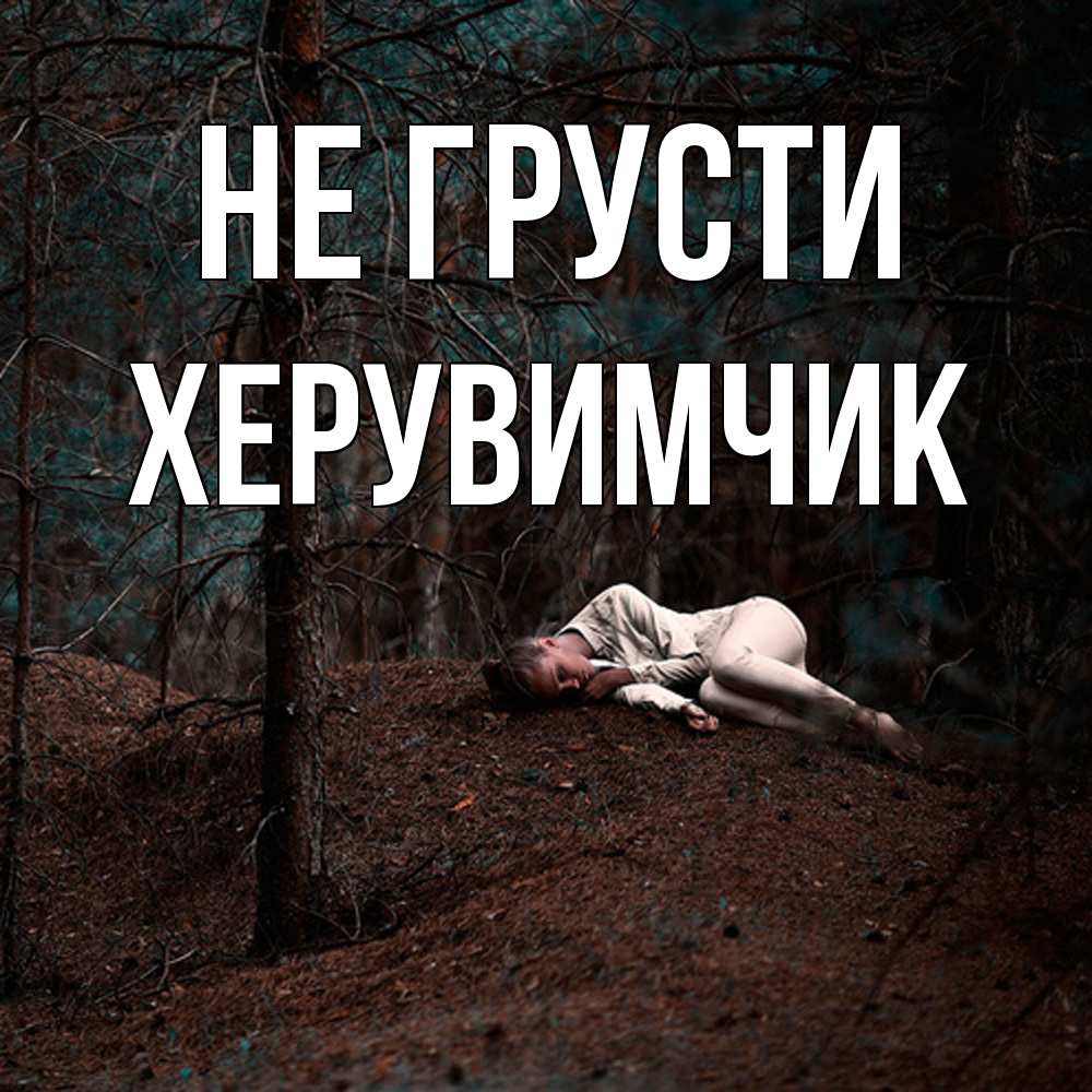 Открытка на каждый день с именем, Хеpувимчик Не грусти лес Прикольная открытка с пожеланием онлайн скачать бесплатно 