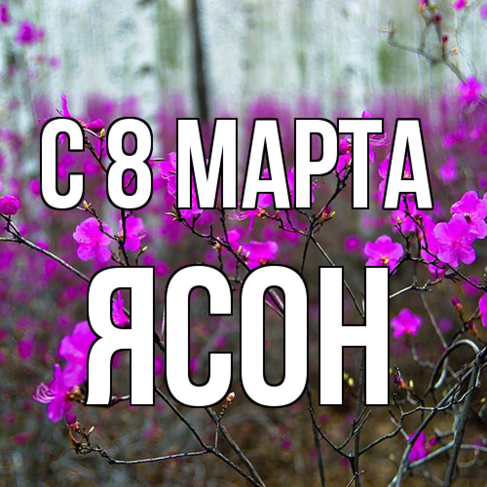 Открытка на каждый день с именем, Ясон C 8 МАРТА дикие цветы Прикольная открытка с пожеланием онлайн скачать бесплатно 