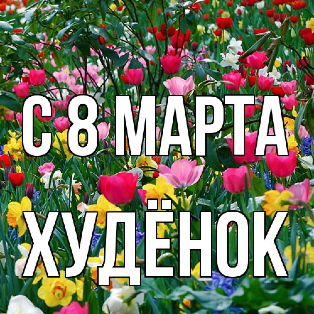 Открытка на каждый день с именем, худёнок C 8 МАРТА с международным женским днем поздравления для женщины Прикольная открытка с пожеланием онлайн скачать бесплатно 