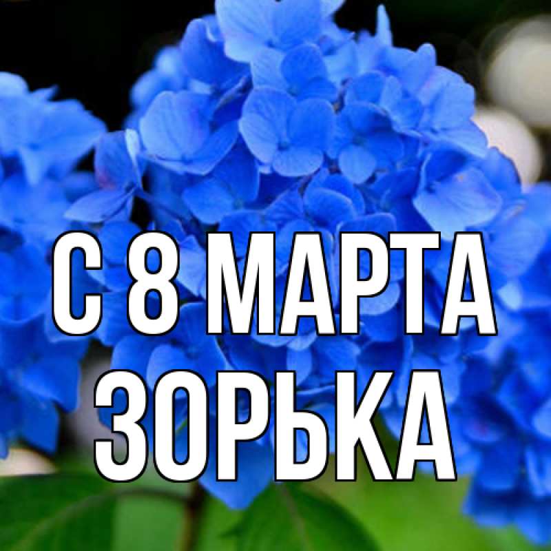 Картинка C 8 МАРТА, Зоpька