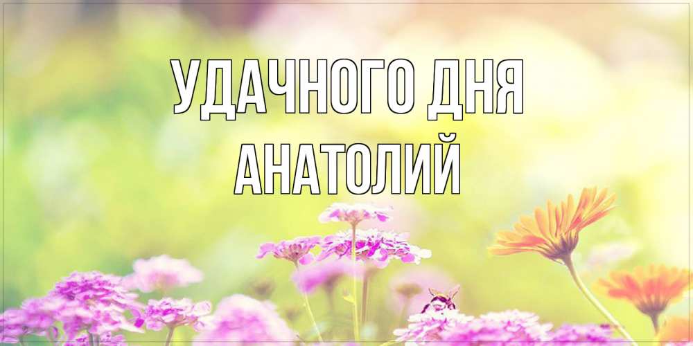 Открытка на каждый день с именем, Анатолий Удачного дня красивая открытка с летней темой Прикольная открытка с пожеланием онлайн скачать бесплатно 