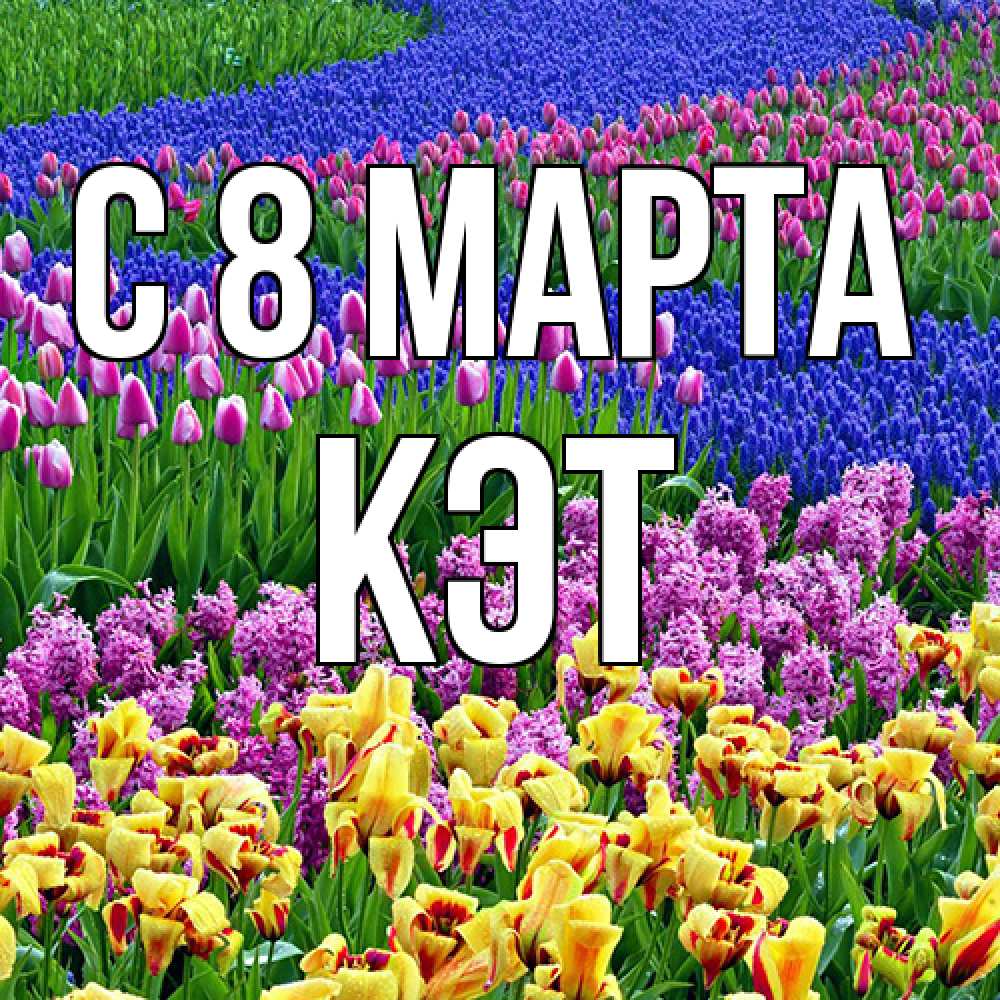 Открытка на каждый день с именем, Кэт C 8 МАРТА цветы Прикольная открытка с пожеланием онлайн скачать бесплатно 