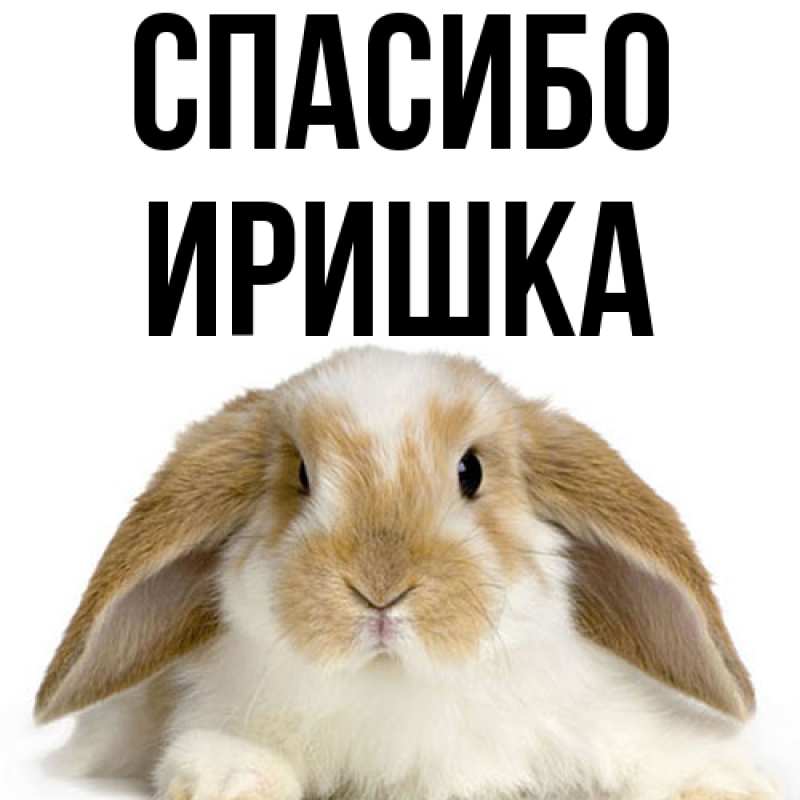 Картинка Спасибо, Иришка