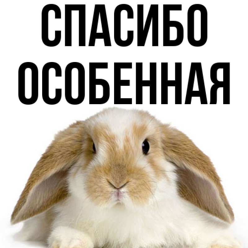 Картинка Спасибо, Особенная